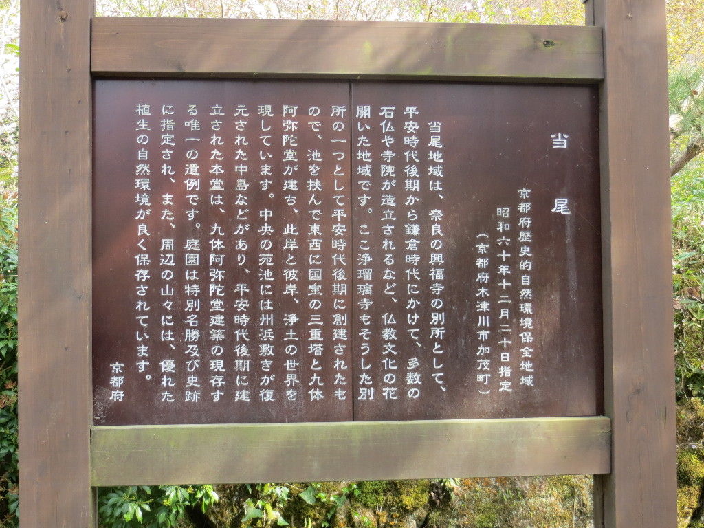 イメージ 7