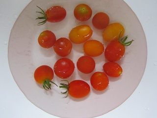イメージ 7