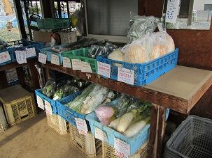 イメージ 5