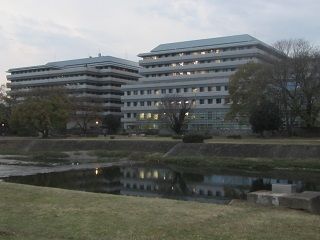 イメージ 7