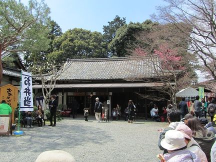 イメージ 8