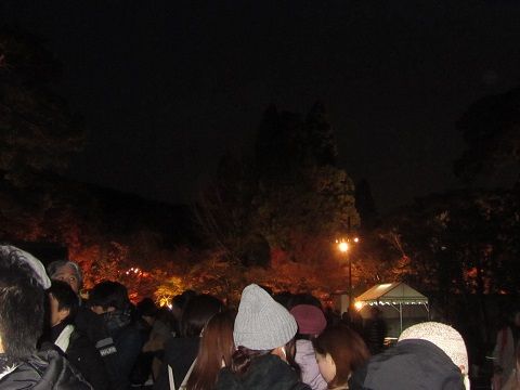 イメージ 8