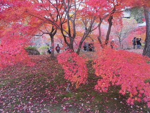 イメージ 4
