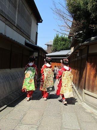 イメージ 5