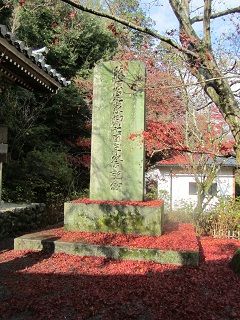 イメージ 6