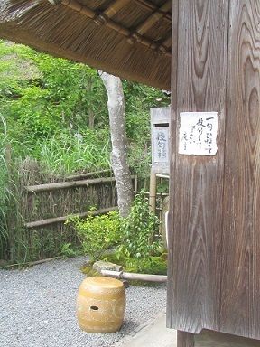 イメージ 6