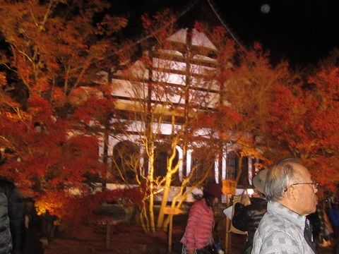 イメージ 9