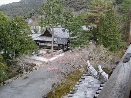 イメージ 8