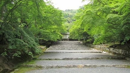 イメージ 17