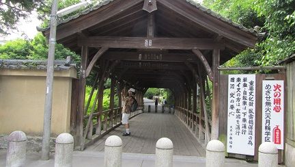 イメージ 8