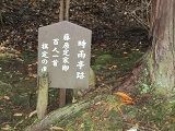 イメージ 8