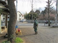 イメージ 8