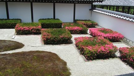 イメージ 14