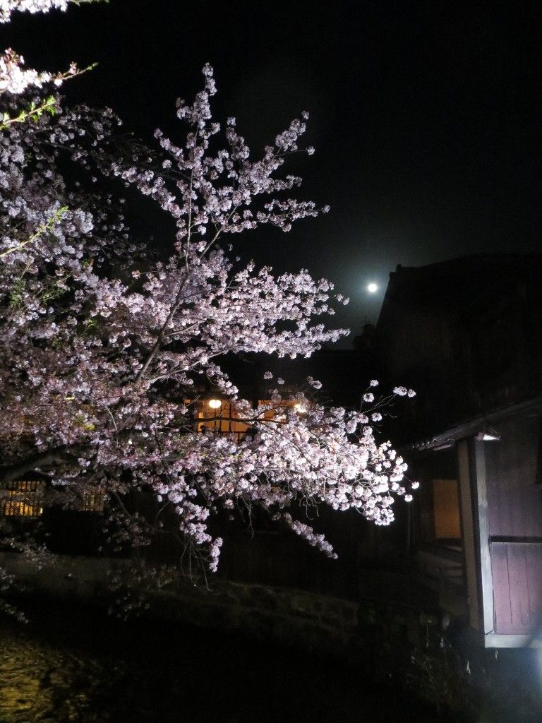 イメージ 7