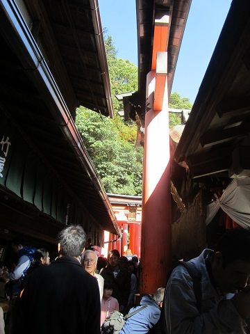 イメージ 5