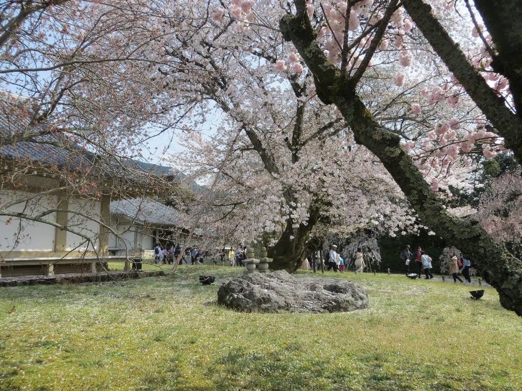 イメージ 6