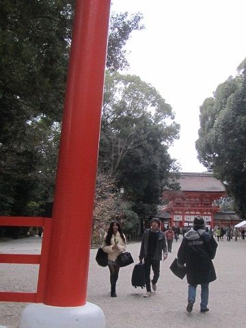 イメージ 5
