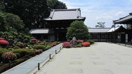 イメージ 11