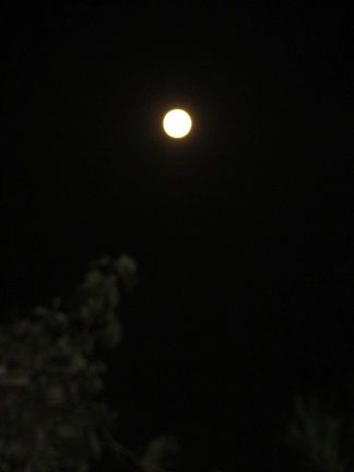 La Pleine Lune お月見 フランスとフランス語あれこれ 英語もちょっぴり
