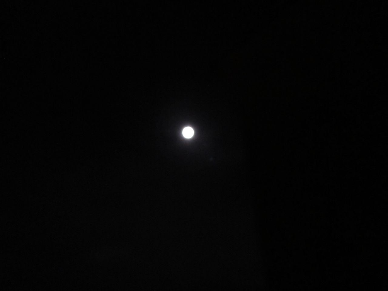 イメージ 16