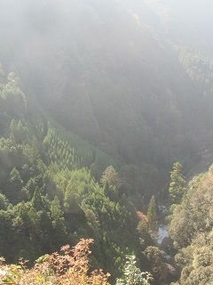 イメージ 5