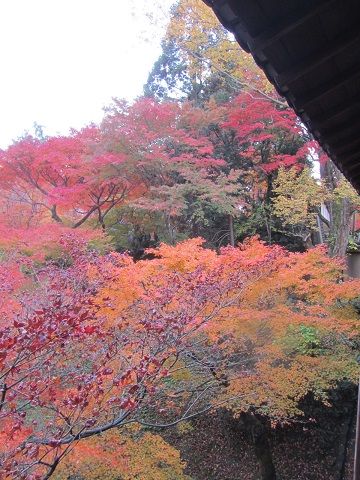 イメージ 12