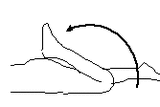 ikagaku_04_04