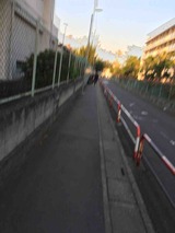 IMG_1174