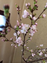 2014-03-29-12-00-10