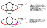fig3-1