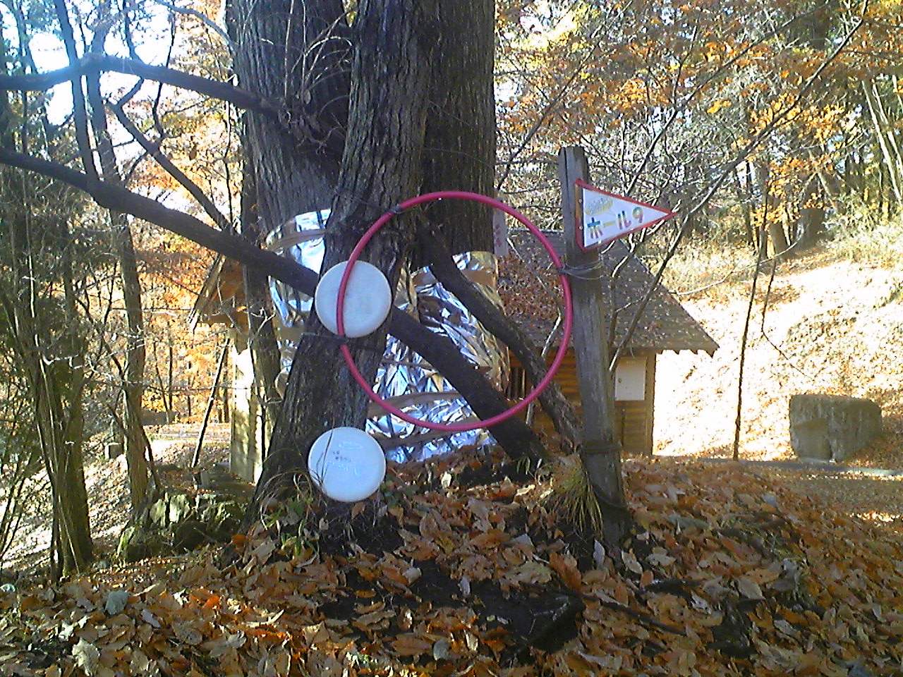 冒険活動センター カッ飛円盤本舗 不動心