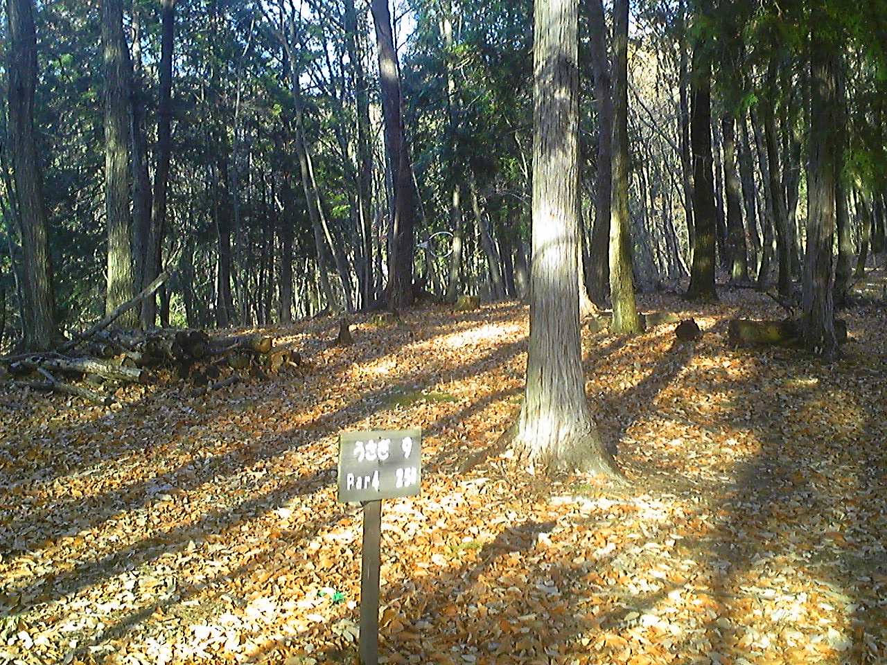 冒険活動センター カッ飛円盤本舗 不動心