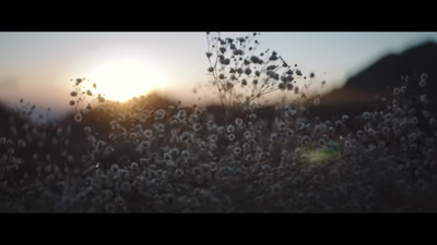 Screenshot 2022-03-26