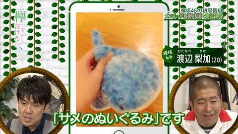 欅坂46 渡辺梨加 アオコをお揃いにしよう 手に入れる方法を調べた結果wwww 美ら海水族館 サメ ぬいぐるみ 画像あり 櫻坂46まとめもり 欅坂46 渡辺梨加 アオコをお揃いにしよう 手に入れる方法を調べた結果wwww 美ら海水族館 サメ ぬいぐるみ 画像あり 櫻坂46まとめもり