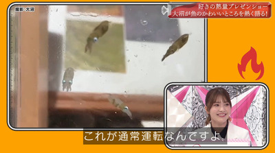 bandicam 2022-05-30 00-49-22-061