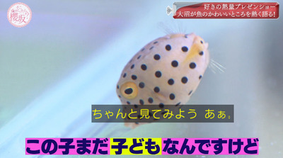 bandicam 2022-05-30 00-49-55-580