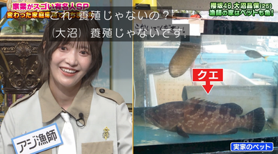 bandicam 2025-09-30 20-46-37-573