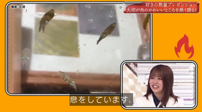 bandicam 2022-05-30 00-49-28-766