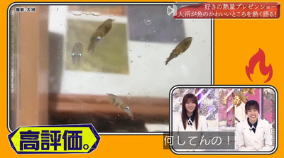 bandicam 2022-05-30 00-49-18-411