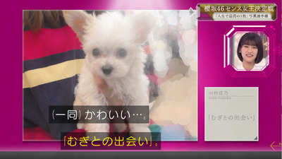 bandicam 2021-02-01 01-00-47-751