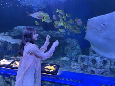 c475ec9e433609bb48fd8c1a1aab2-05