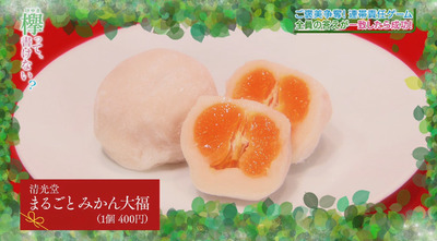 bandicam 2017-01-30 00-36-13-565