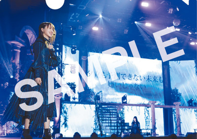 A5_ClearFolder_sample_2