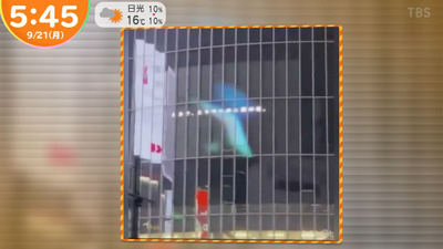 bandicam 2020-09-21 07-12-09-071