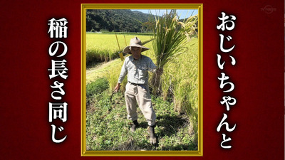 bandicam 2021-02-01 01-01-48-087