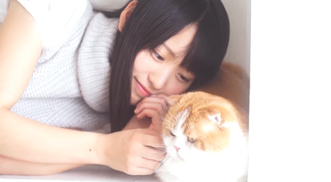 欅坂46 菅井友香と愛猫トムのメイキング映像が可愛すぎるwwww ハッスルプレス 櫻坂46まとめもり 欅坂46 菅井友香と愛猫トムのメイキング映像が可愛すぎるwwww ハッスルプレス 櫻坂46まとめもり