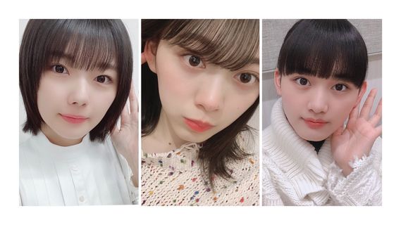 まとめもり