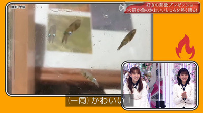 bandicam 2022-05-30 00-49-15-763