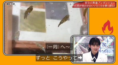 bandicam 2022-05-30 00-49-26-937