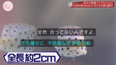 bandicam 2022-05-30 00-50-05-322